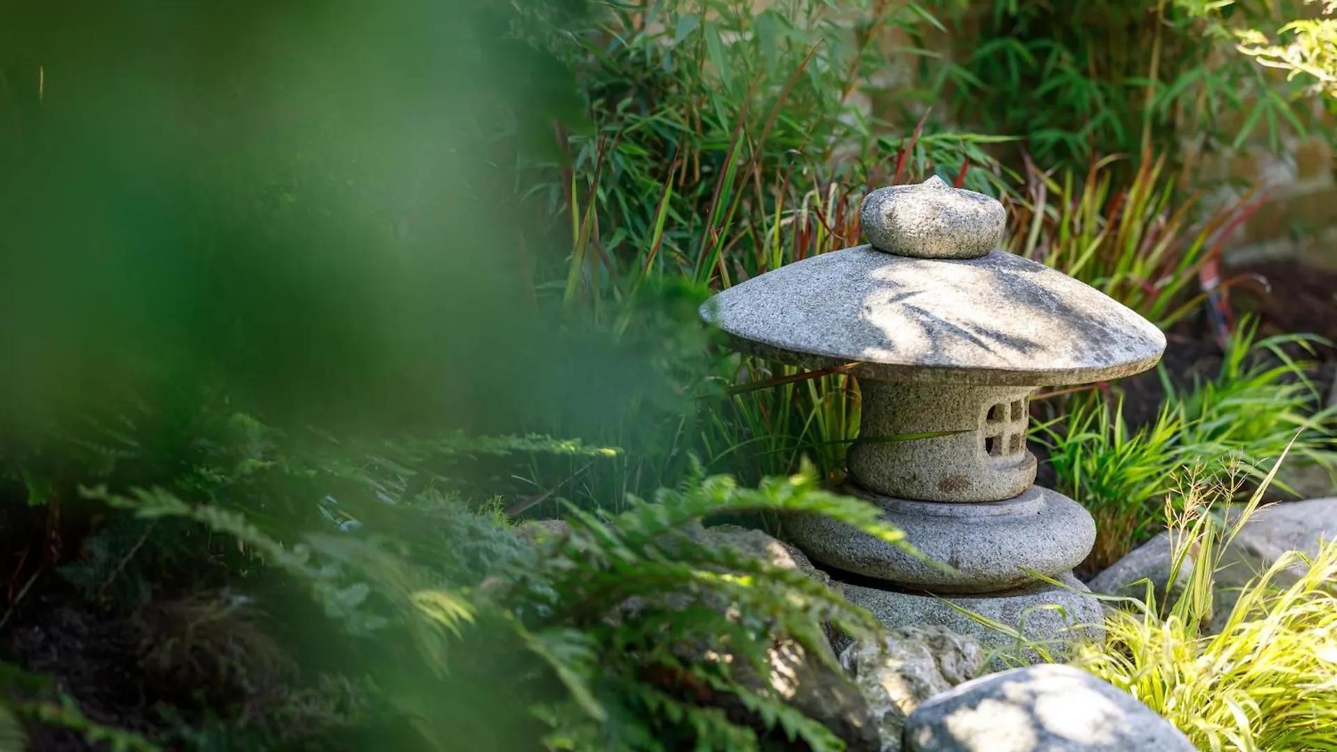 The Artists Studio - With Unique Japanese Garden Brighton