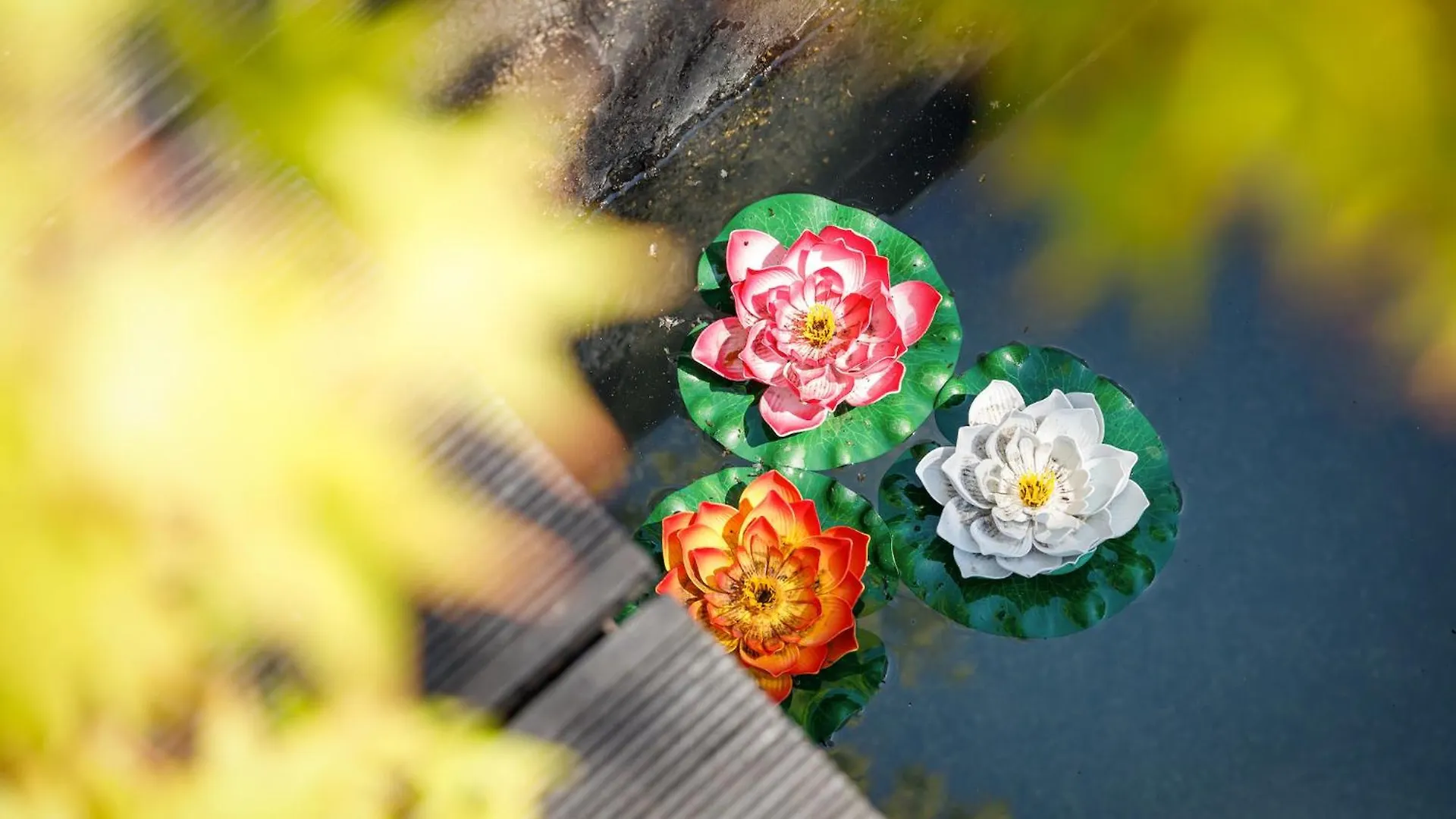 The Artists Studio - With Unique Japanese Garden Brighton